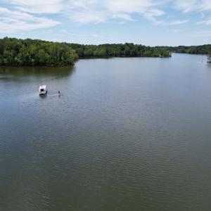 Photo #39 of SOLD property in Off Hwy 58, Boydton, VA 69.5 acres