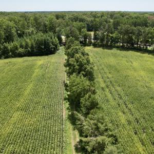 Photo #4 of SOLD property in Off Hwy 58, Boydton, VA 69.5 acres