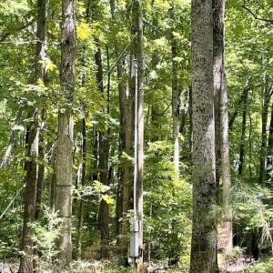 Photo #43 of SOLD property in Off Hwy 58, Boydton, VA 69.5 acres