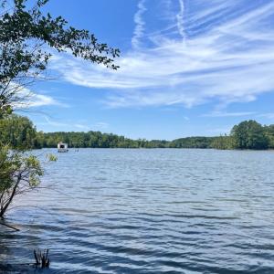 Photo #45 of SOLD property in Off Hwy 58, Boydton, VA 69.5 acres