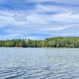 Photo #46 of SOLD property in Off Hwy 58, Boydton, VA 69.5 acres