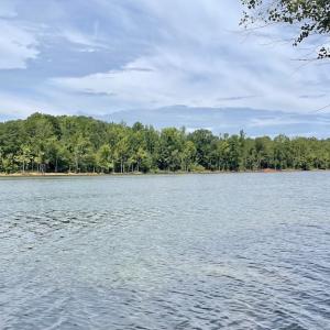 Photo #47 of SOLD property in Off Hwy 58, Boydton, VA 69.5 acres