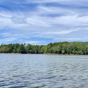 Photo #48 of SOLD property in Off Hwy 58, Boydton, VA 69.5 acres