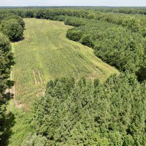 Photo #5 of SOLD property in Off Hwy 58, Boydton, VA 69.5 acres