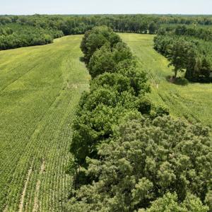 Photo #6 of SOLD property in Off Hwy 58, Boydton, VA 69.5 acres