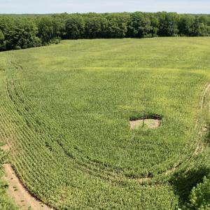 Photo #9 of SOLD property in Off Hwy 58, Boydton, VA 69.5 acres
