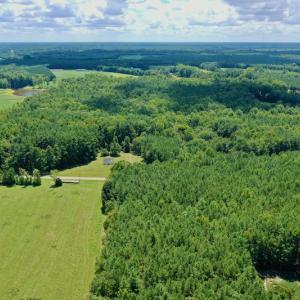 Photo #3 of SOLD property in 292 Peter Stallings Road, Macon, NC 53.0 acres