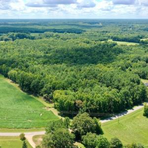 Photo #4 of SOLD property in 292 Peter Stallings Road, Macon, NC 53.0 acres