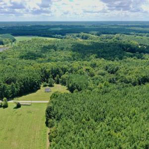 Photo #5 of SOLD property in 292 Peter Stallings Road, Macon, NC 53.0 acres