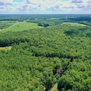Photo #6 of SOLD property in 292 Peter Stallings Road, Macon, NC 53.0 acres