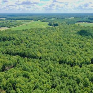 Photo #7 of SOLD property in 292 Peter Stallings Road, Macon, NC 53.0 acres