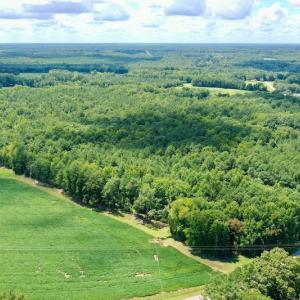 Photo #8 of SOLD property in 292 Peter Stallings Road, Macon, NC 53.0 acres