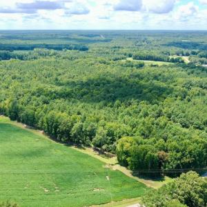 Photo #8 of SOLD property in 292 Peter Stallings Road, Macon, NC 53.0 acres