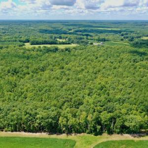 Photo #9 of SOLD property in 292 Peter Stallings Road, Macon, NC 53.0 acres