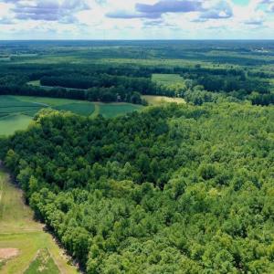 Photo #10 of SOLD property in 292 Peter Stallings Road, Macon, NC 53.0 acres