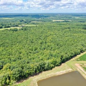 Photo #11 of SOLD property in 292 Peter Stallings Road, Macon, NC 53.0 acres