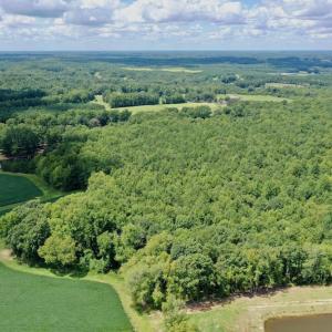 Photo #12 of SOLD property in 292 Peter Stallings Road, Macon, NC 53.0 acres