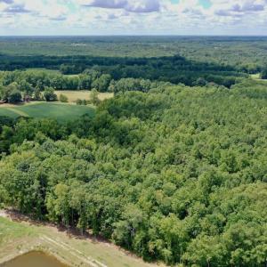 Photo #13 of SOLD property in 292 Peter Stallings Road, Macon, NC 53.0 acres