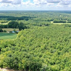 Photo #14 of SOLD property in 292 Peter Stallings Road, Macon, NC 53.0 acres