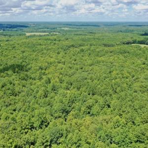 Photo #15 of SOLD property in 292 Peter Stallings Road, Macon, NC 53.0 acres
