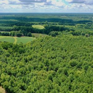 Photo #16 of SOLD property in 292 Peter Stallings Road, Macon, NC 53.0 acres