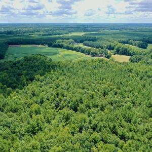 Photo #17 of SOLD property in 292 Peter Stallings Road, Macon, NC 53.0 acres