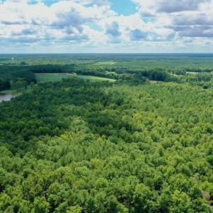 Photo #19 of SOLD property in 292 Peter Stallings Road, Macon, NC 53.0 acres