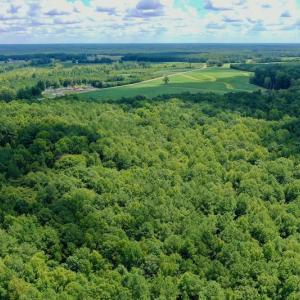 Photo #20 of SOLD property in 292 Peter Stallings Road, Macon, NC 53.0 acres