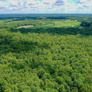 Photo #21 of SOLD property in 292 Peter Stallings Road, Macon, NC 53.0 acres