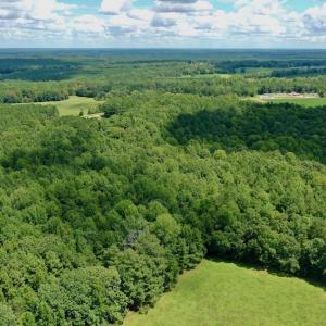 Photo #22 of SOLD property in 292 Peter Stallings Road, Macon, NC 53.0 acres