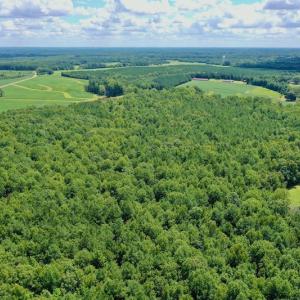 Photo #23 of SOLD property in 292 Peter Stallings Road, Macon, NC 53.0 acres