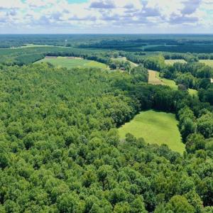 Photo #24 of SOLD property in 292 Peter Stallings Road, Macon, NC 53.0 acres