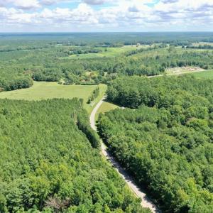 Photo #25 of SOLD property in 292 Peter Stallings Road, Macon, NC 53.0 acres