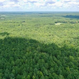 Photo #26 of SOLD property in 292 Peter Stallings Road, Macon, NC 53.0 acres