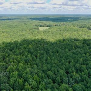 Photo #27 of SOLD property in 292 Peter Stallings Road, Macon, NC 53.0 acres