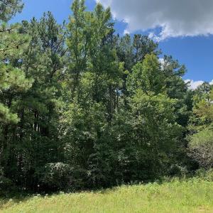 Photo #28 of SOLD property in 292 Peter Stallings Road, Macon, NC 53.0 acres