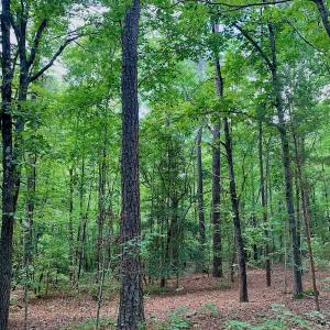 Photo #37 of SOLD property in 292 Peter Stallings Road, Macon, NC 53.0 acres