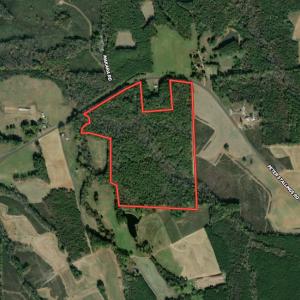 Photo #1 of SOLD property in 292 Peter Stallings Road, Macon, NC 53.0 acres