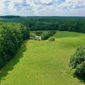 Photo #5 of SOLD property in 1227 Weavers Chapel Road, Littleton, NC 30.5 acres