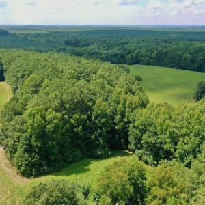 Photo #6 of SOLD property in 1227 Weavers Chapel Road, Littleton, NC 30.5 acres