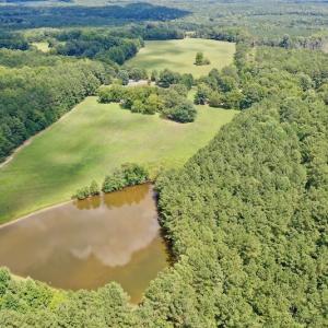 Photo #8 of SOLD property in 1227 Weavers Chapel Road, Littleton, NC 30.5 acres