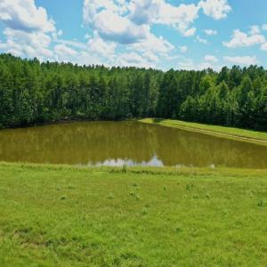 Photo #11 of SOLD property in 1227 Weavers Chapel Road, Littleton, NC 30.5 acres