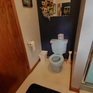 Photo #31 of SOLD property in 1227 Weavers Chapel Road, Littleton, NC 30.5 acres