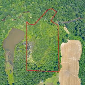 Photo #2 of SOLD property in Off Old Murphy Road, Wendell, NC 11.8 acres