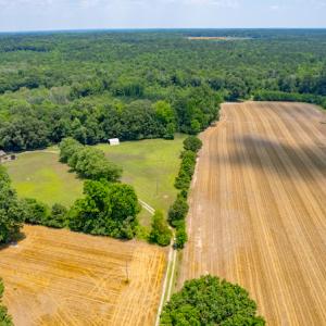 Photo #18 of SOLD property in Off Old Murphy Road, Wendell, NC 11.8 acres