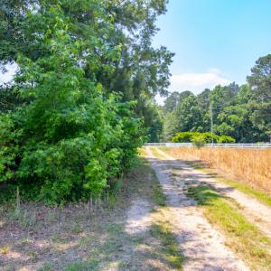 Photo #20 of SOLD property in Off Old Murphy Road, Wendell, NC 11.8 acres