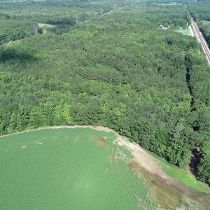Photo #4 of SOLD property in Off Bell Road, Ivor, VA 6.0 acres