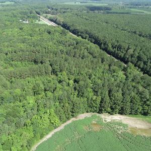 Photo #5 of SOLD property in Off Bell Road, Ivor, VA 6.0 acres