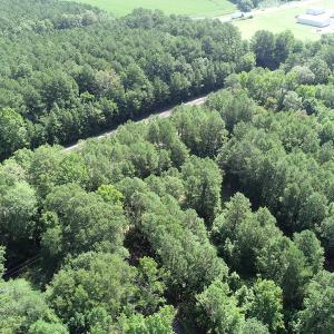 Photo #6 of SOLD property in Off Bell Road, Ivor, VA 6.0 acres