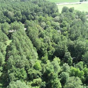 Photo #7 of SOLD property in Off Bell Road, Ivor, VA 6.0 acres